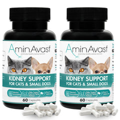 AminAvast kidney-support sprinkle capsules ready to mix into food for easy daily renal support.