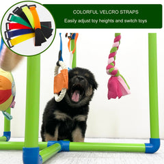 Amlmpet Puppy Play Gym PVC frame emphasizing safe, durable construction.