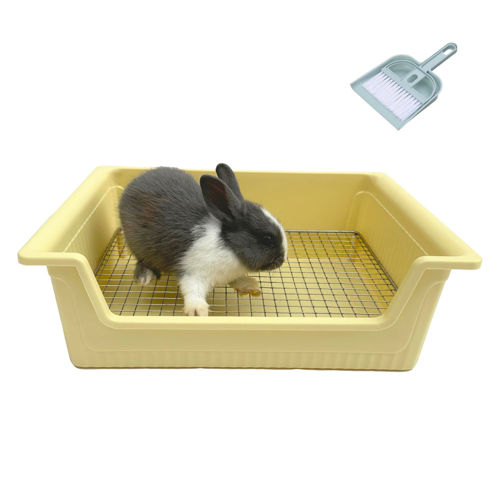 Amlmpet stainless steel grid litter box shows rust-proof durability and clean waste separation.