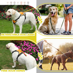 AMORONE adjustable dog harness showing strap fit and customizable comfort for large breeds.