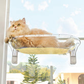 AMOSIJOY transparent window perch demonstrates easy assembly and secure suction for sunlit lounging.