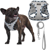 AMTOR small dog harness front view shows secure vest for training