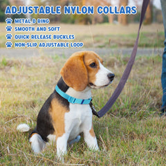 Amylove color-variety bundle of collars arranged for style and easy matching.