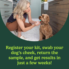 AncestryDNA Dog DNA Test swab-tube image demonstrates gentle collection suitable for all dogs.