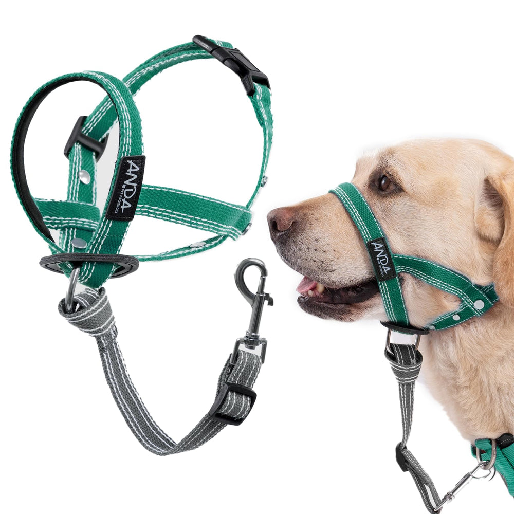 ANDA collar guía suave verde ajustable para paseos más tranquilos.