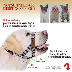 ANDA Gentle Leader buckle design stays in place during busy strolls