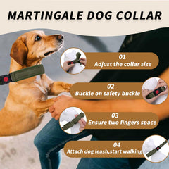 Anglevate Martingale collar Army Green stainless chain closeup shows secure training control
