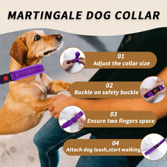 Anglevate Martingale Collar reflective strips highlight nighttime visibility for safe walks.