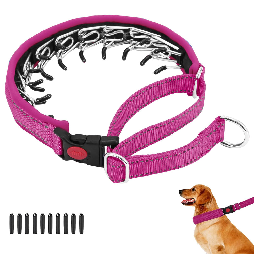 Anglevate Martingale collar hot pink outer view shows durable nylon for comfortable daily walks.