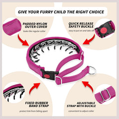 Anglevate martingale collar neoprene padding close-up demonstrates comfort during training sessions.