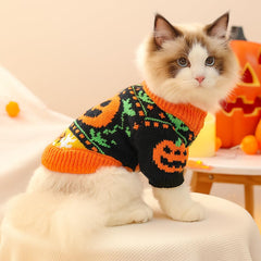 ANIAC Halloween cat turtleneck knitwear with pumpkin design, perfect for festive photos.