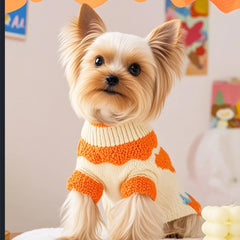 Sudadera ANIAC para perro naranja con patrón de fresa, ideal para salidas diarias.