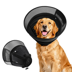 AnimaCure inflatable dog cone outer view highlights comprehensive wound protection during recovery.