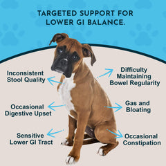 Animal Essentials Colon Rescue drops being dispensed for pet gut balance.
