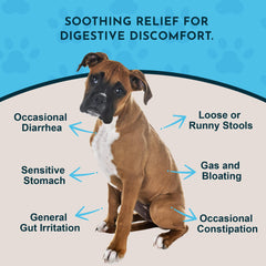 Animal Essentials Slippery Elm drops pour demonstrates convenient liquid gut support