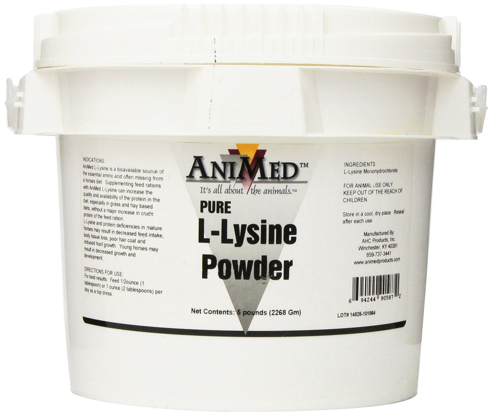 ANIMED L-Lysine for Horses bag and scoop ready for easy feeding and protein support.