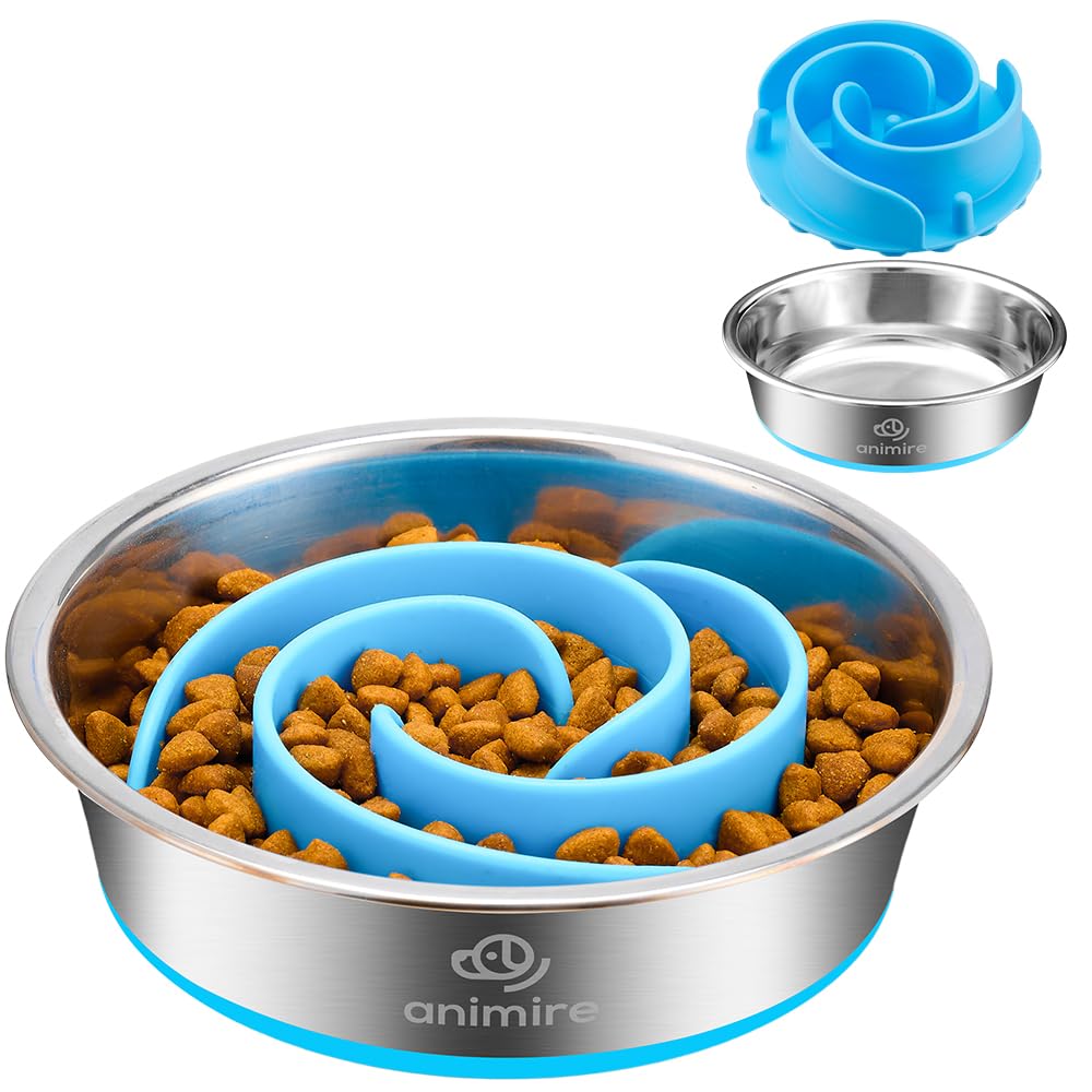 Animire 2-in-1 metal dog bowl front view shows dual feeding design.