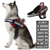 Animire dog vest harness front view shows adjustable chest fit for comfort.
