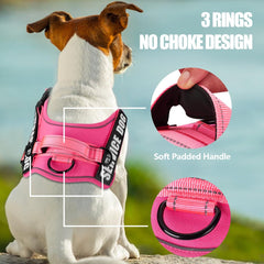 Animire reflective leash 5 ft; high visibility during dusk walks.