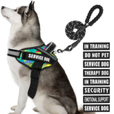 Animire service dog vest harness demonstrates secure fit for daily training.