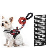Animire service dog vest harness shown on dog for daily training and control
