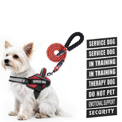 Animire service dog vest harness shown on dog for daily training and control