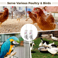 Anjetan ducks parrots enrichment toy spoons appeals to varied birds and activity