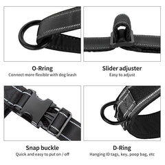 Annchwool front strap prevents forward rushing for safer training sessions.