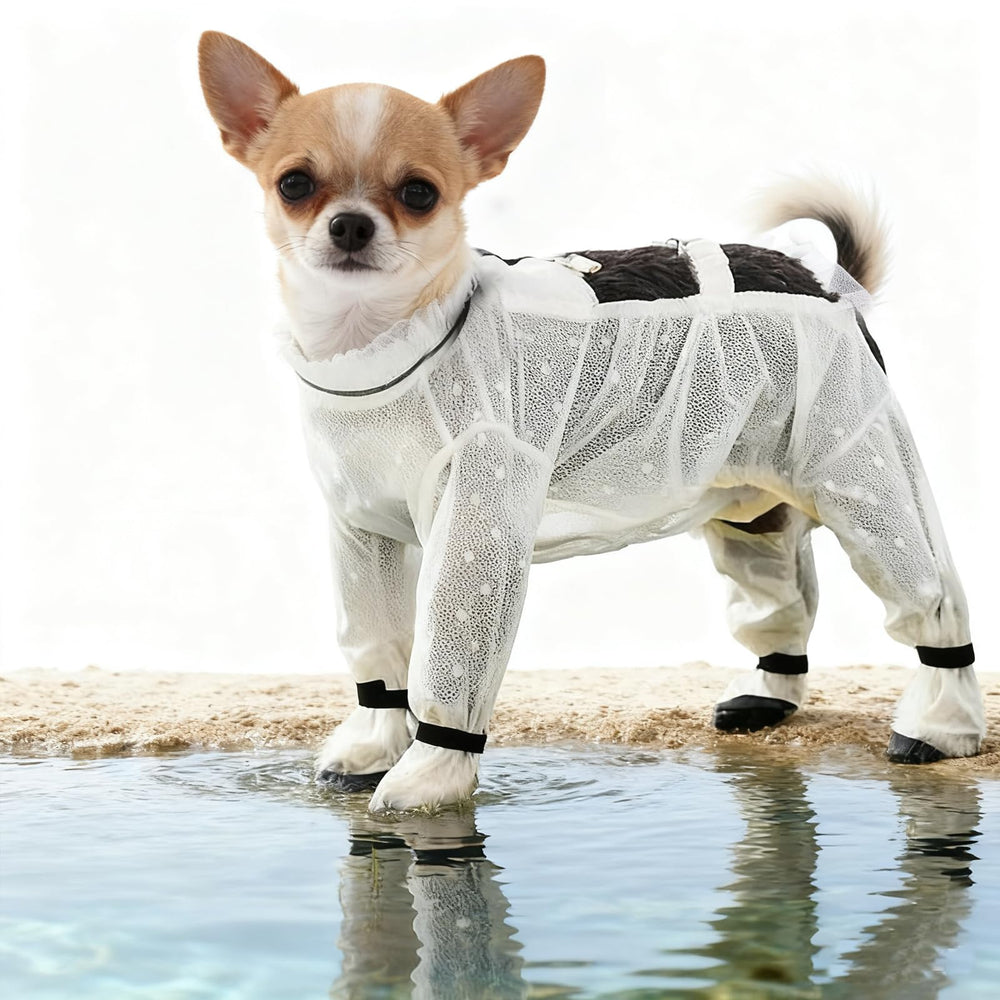 Anti Dust Pants with Shoes for Dogs 360-degree coverage protects against mud and dirt.