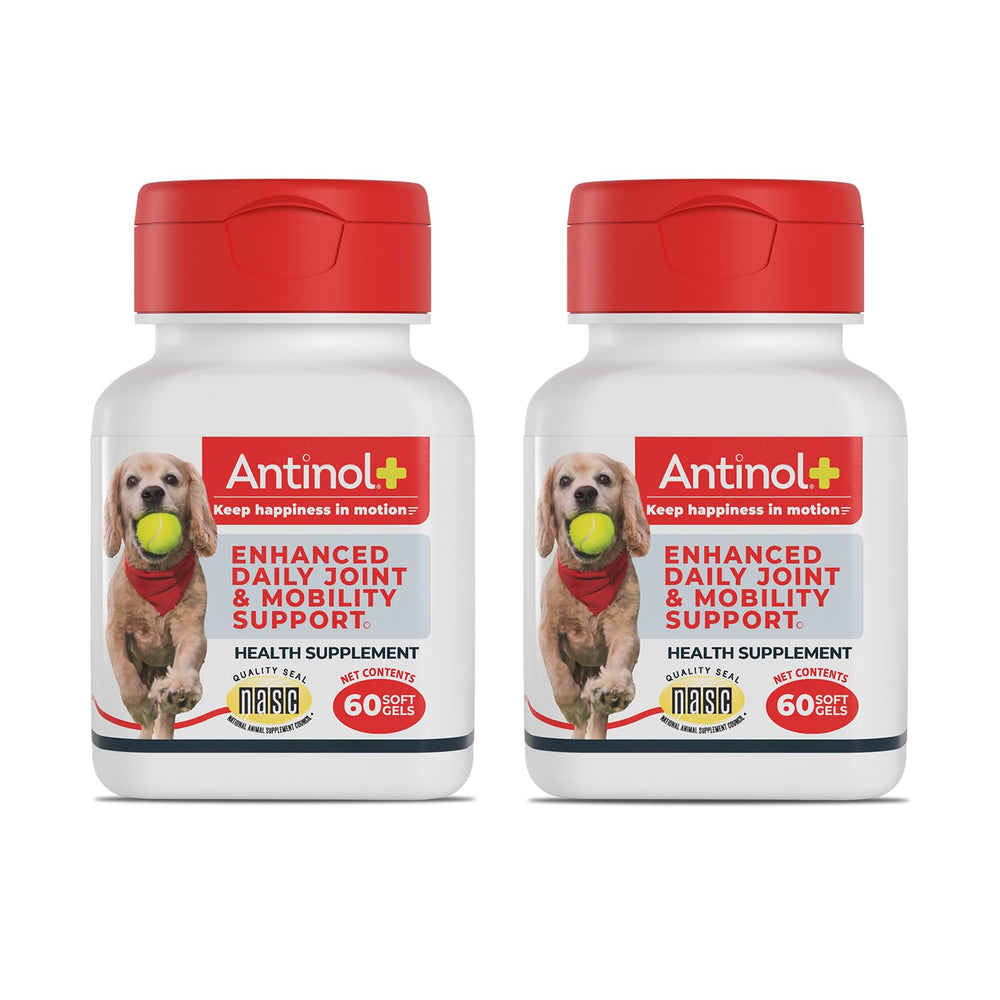 Antinol Plus bottle label highlights premium dog joint support.