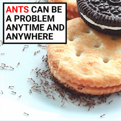 AntPad two-sides surface provides dual-use protection against ants.