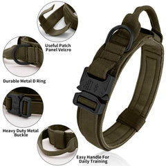 Antswish dog collar control-handle-green enables quick assist during walks.