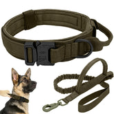 Antswish tactical dog collar green with metal buckle offers secure fit and durable control.