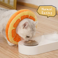 ANWA cat cone collar in-use, eating-friendly design.