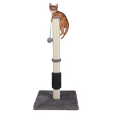 ANWA tall cat scratching post 32-inch assembly shows quick setup and stable base