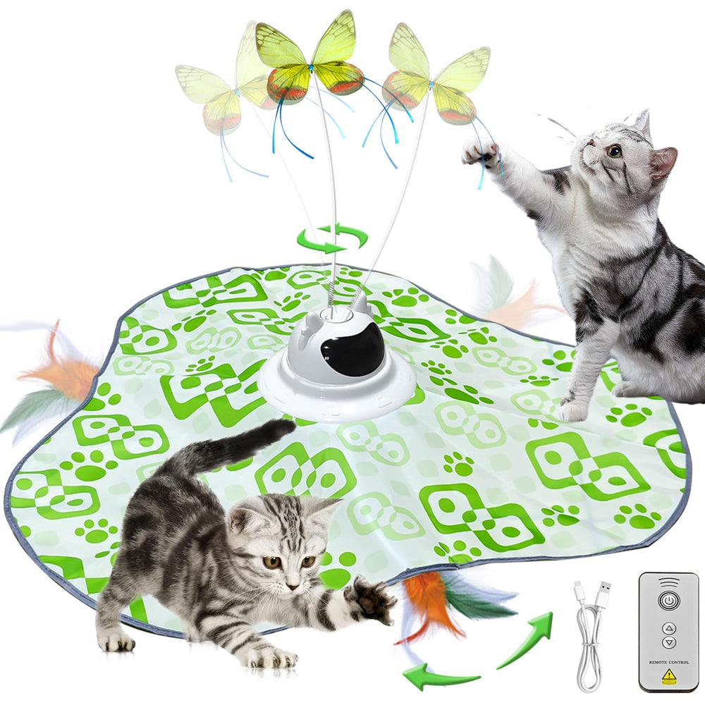 AO LI GEI butterfly top spins to entice kittens into playful chase.