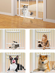 aodbicy cat gate encryption-rod detail highlights gap protection