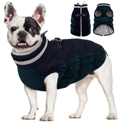 AOFITEE dog coat back view showing secure fit and warmth for winter walks