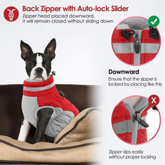 AOFITEE dog coat with dual D-ring leash attachments for secure walks