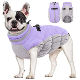 AOFITEE dog coat lilac XS front view highlights cozy warmth for small dogs.