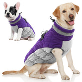 AOFITEE dog coat front view in purple showing warm winter fit