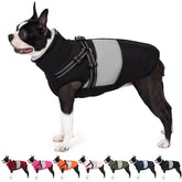 AOFITEE dog coat with waterproof back zipper enables easy on-off during rainy walks