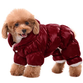 AOFITEE dog coat waterproof winter jacket demonstrates rain-ready protection for daily walks.