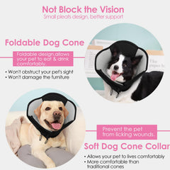 AOFITEE dog cone shown during grooming or care session.