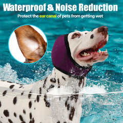AOOLMOL dog hematoma ear wrap in use demonstrating gentle support and soothing fit