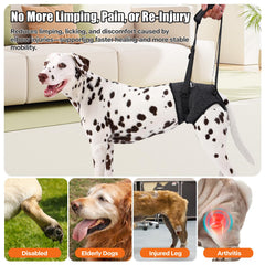 AOOLMOL dog sling padded handle reduces hand strain