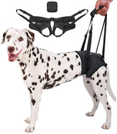 AOOLMOL dog sling rear leg harness supports mobility for arthritic dogs