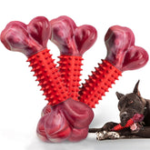 Apasiri 3-pack tough dog chew toys nylon ends for powerful chewers.
