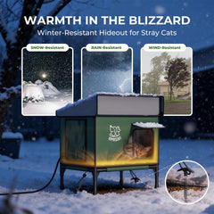 Apasiri heated cat house outdoor side view highlights sturdy frame for winter durability.