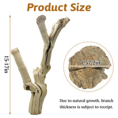 Apatal reptile branch climbing-branch-terrarium supports active exercise and exploration.
